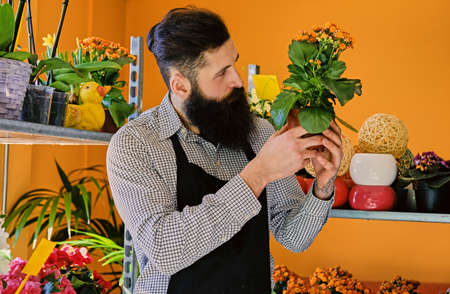 The bearded male flower seller holds flowers in a pot in a garden market shop.の写真素材