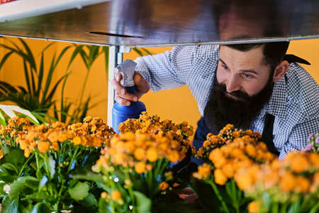 Tattooed bearded male watering flowers in a market shop.の写真素材