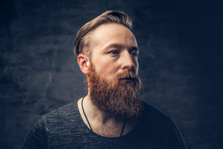 Studio portrait of blue eyed redhead bearded hipster male on grey background.
