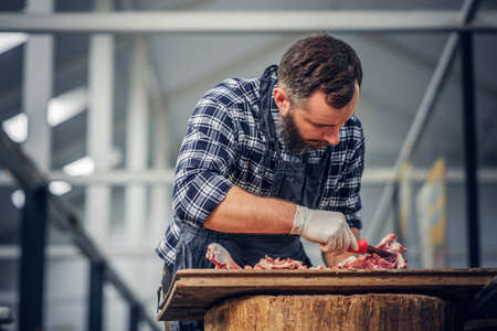 Bearded butcher dressed in a fleece shirt cut fresh bacon meat.の写真素材