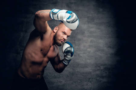 Studio portrait of bearded aggressive boxer in action over grey background.の写真素材