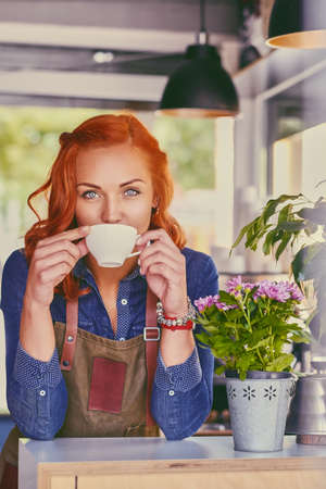 Portrait of redhead female barista in a small coffee shop.の写真素材