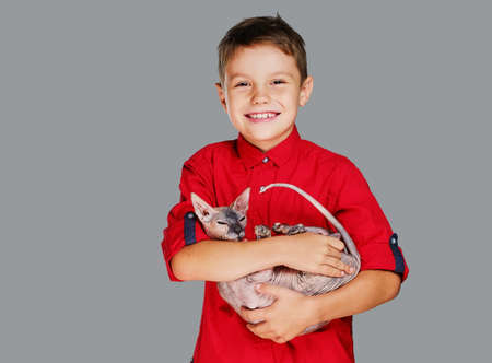 Emotional little boy in a red polo t shirt holds a cat. Isolated on grey background.の写真素材