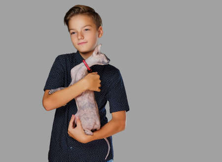 Emotional little boy holds a cat. Isolated on grey background.の写真素材