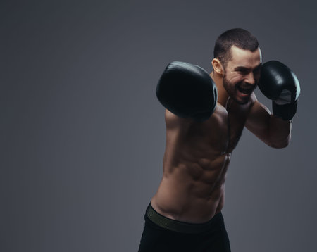 A brutal shirtless caucasian sportsman in boxing gloves training isolated on a gray background.の写真素材
