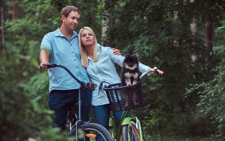 An attractive couple of a blonde female and man dressed in casual clothes on a bicycle ride with their cute little spitz in a bicycle basket.の写真素材