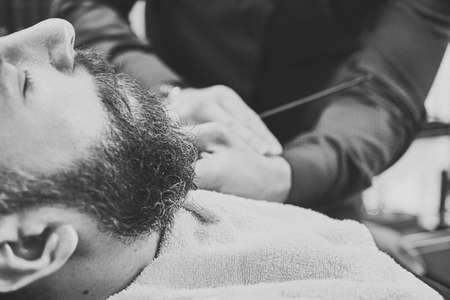 Professional hairdresser modeling beard with scissors and comb at the barbershop.の写真素材