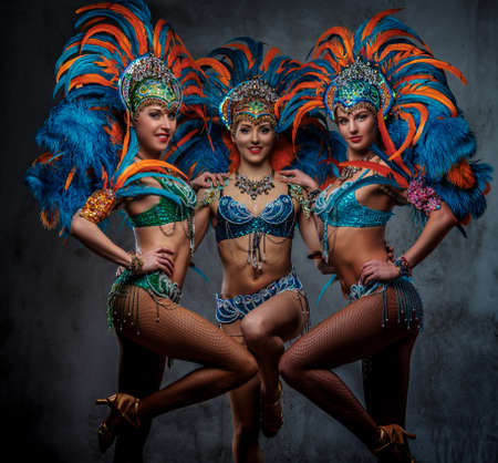 Group of a sexy girls in a colorful sumptuous carnival feather suit.の写真素材
