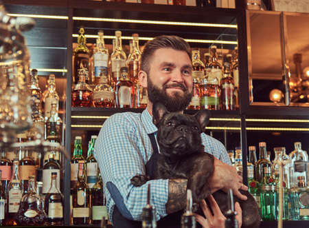Stylish brutal barman in a shirt and apron keeps thoroughbred black pug at bar counter background.の写真素材