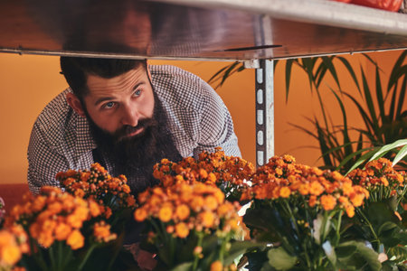 Professional male florist with beard and tattoo on his hand wearing uniform taking care of flowers in modern flower shop.の写真素材