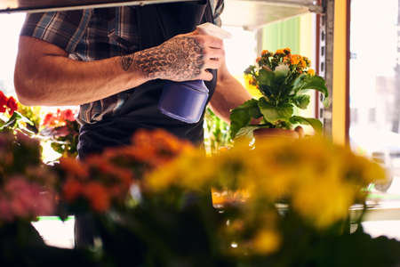 Cropped photo of a male florist wearing uniform working in flower shop.の写真素材