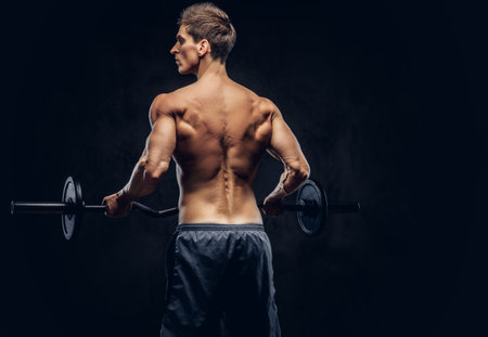 Back view of shirtless man with stylish hair and muscular ectomorph doing the exercises with the...