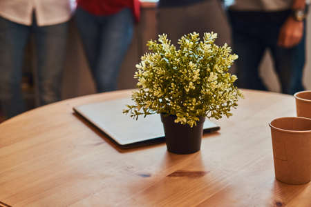 Close-up photo of a laptop, two paper cups and flower on a table in student dormitory.の写真素材