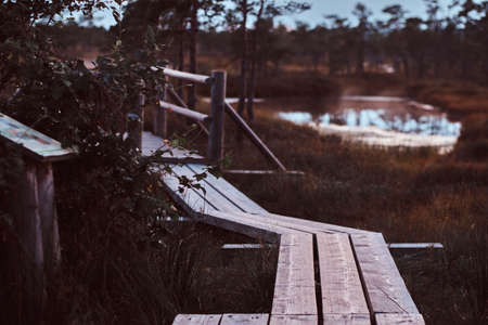 Wooden footpath on a beautiful autumn meadow in forest at sunset.の写真素材
