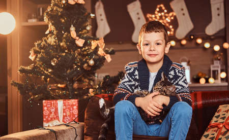Adorable boy hugging his cat in hands while sitting on sofa in decorated room at Christmas time.の写真素材
