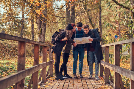 Group of young friends hiking in autumn colorful forest, looking at map and planning hike.