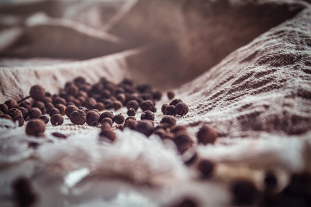 Fruits of black pepper lying on a fabric canvasの写真素材
