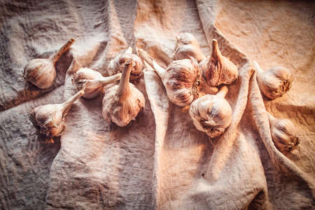 Photo of garlic fruit on linen fabric, top view.の写真素材