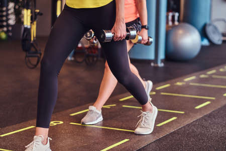 Two fitness girls in sportswear doing lunges with dumbbells in the modern gym. Health, diet, sportの写真素材