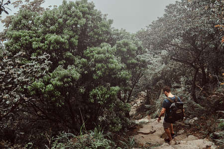 Man with backpack is walking by the stone  path in the middle of lush green mountain forest.の写真素材