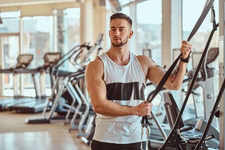 Strong muscular man is posing next to training apparatus at sunny gym.の写真素材