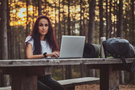 Beautiful young woman is working on the laptop in the middle of the forest.の写真素材
