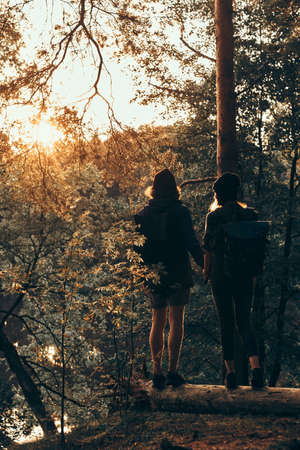Romantic couple is standing on the log in green bright forest and watching sunset. They have backpacks and hats.の写真素材