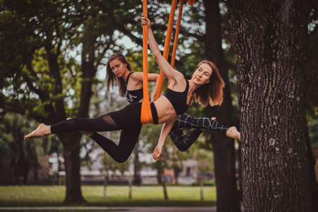 Two attractive graceful girls are doing stretchening exercises on the slings in the summer park.の写真素材