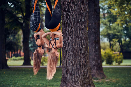 Two attractive sporty girls are hanging upside down on the slings in the summer park.の写真素材