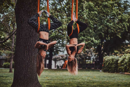Two happy smiling girls are doing exercises upside down on the slings in the summer park.の写真素材