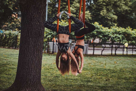 Two happy smiling girls are doing exercises upside down on the slings in the summer park.の写真素材