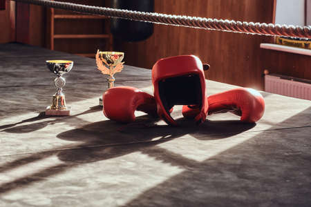 There are prizes on sunny boxing ring - cups, and also equipment like red gloves and helmet.の写真素材