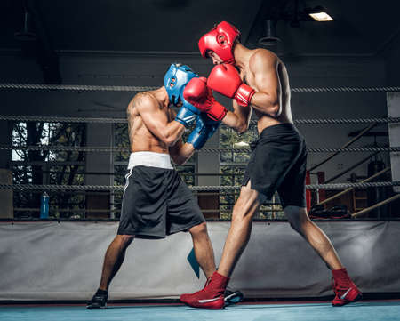 Two muscular boxers have a competition on the ring, they are wearing helmets and gloves.