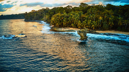 Aerial photo of a sandy tropical beach with growing palm trees surrounded by blue ocean water and golden sunlightの写真素材