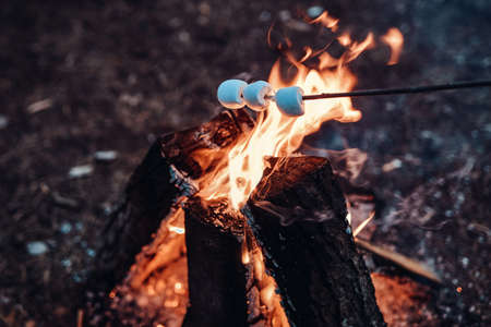 Sweet marshmallow on a stick its toasting at the stake in summer forest in the evening. Vacation and travelling.の写真素材