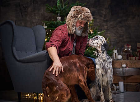 Aged canine pets owner sitting on armchair around christmas tree