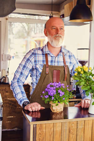 Elderly bald barman with apron indoors coffee shopの写真素材