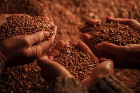 Female farmers with wheat grains in dark hangarの写真素材