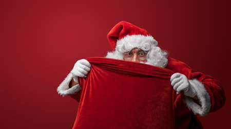 Peek-a-Boo Santa: Hiding Holiday Surprisesの写真素材