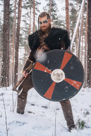 Viking Warrior with Axe and Shield in Snowy Woodsの写真素材