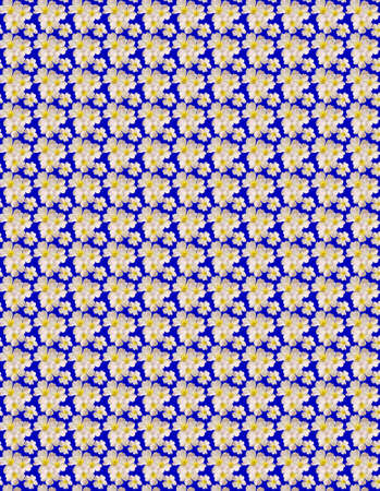 backgroundsの写真素材