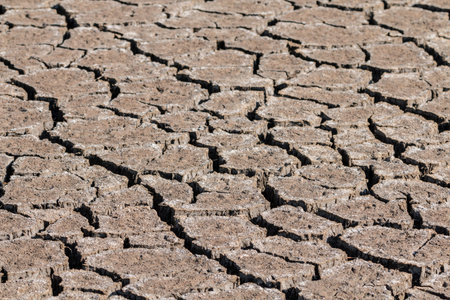 drought earth textureの写真素材