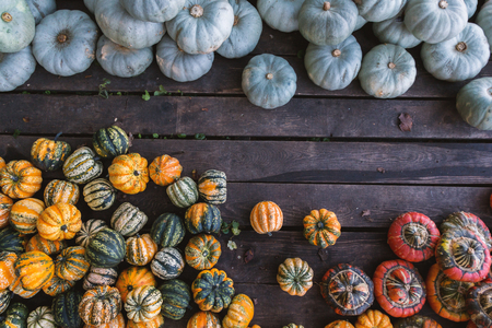 colorful pumpkins on wood backgroundの写真素材