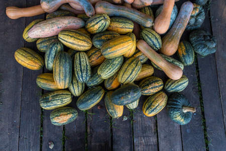 colorful pumpkins on wood backgroundの写真素材