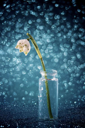 bouquet of flowers in glass vase on blue backgroundの写真素材