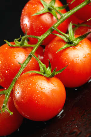 fresh ripe red tomatos on a vine with water drops isolated on blackの写真素材