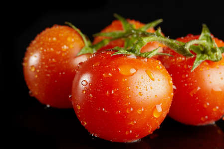 fresh ripe red tomatos on a vine with water drops isolated on blackの写真素材