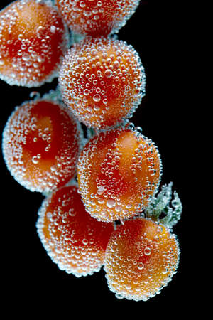 fresh ripe red tomatos on a vine with water drops isolated on blackの写真素材