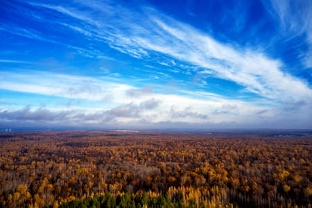 Drone areal view of the autumn trees Against the background of a blue sky. Autumnの写真素材