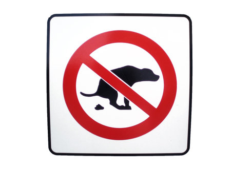    No dog poop isolated  forbiddance sign.の写真素材